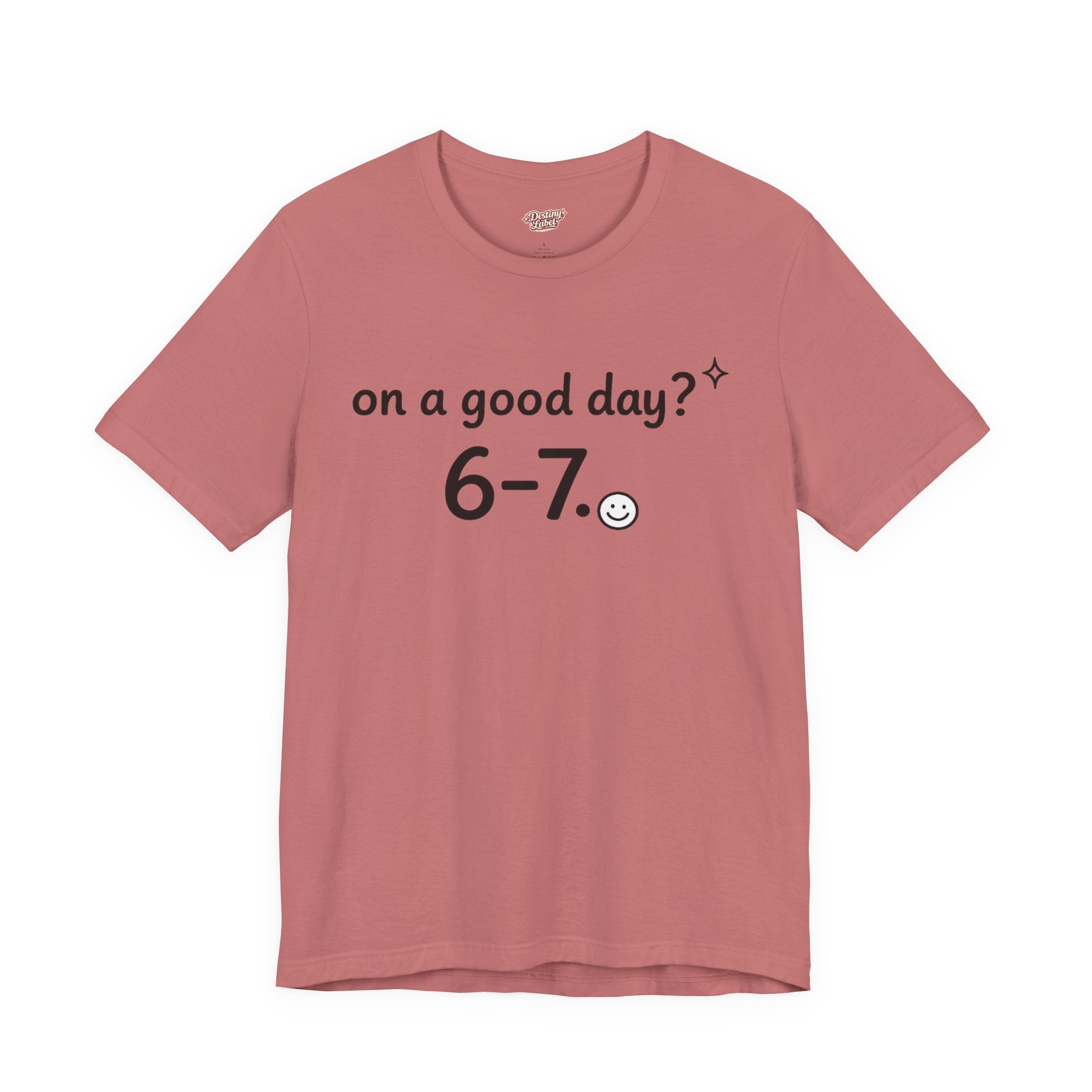 6-7 meme tee | Absurdist humor, minimalist type shirt